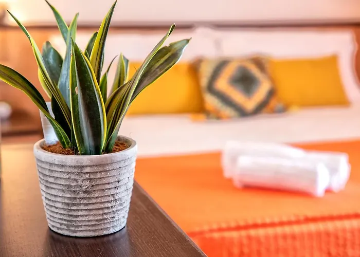 卡洛尔之家沃卡泽酒店 公寓式酒店